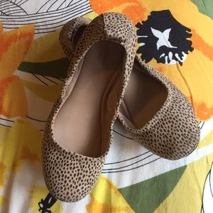 Adorable Animal Print Everyday Flats